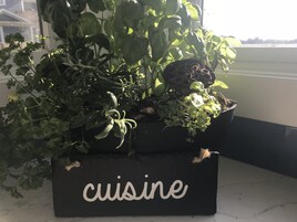 Una planta en maceta con la palabra 'cuisine' en el recipiente, colocada sobre un alféizar.