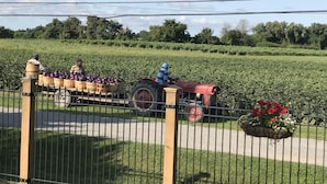A rural scene with a tractor and people in a field, a fence, and a flower bed. - Dicksons Family Suite B&B (Niagara-on-the-Lake)