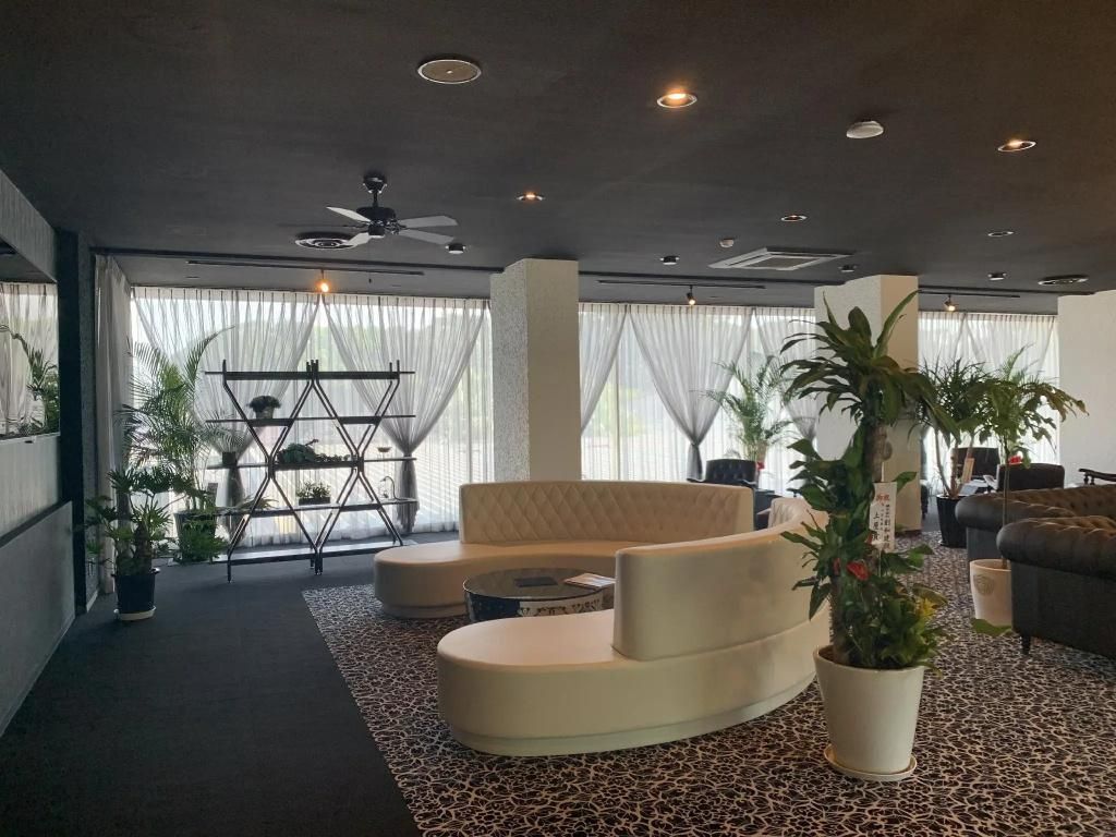 A modern living room with a curved sofa, a coffee table, and a large potted plant.
