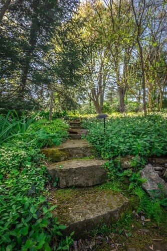Historic 1830s Lodge/Cabin Overlooking Missouri River