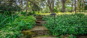 Historic 1830s Lodge/Cabin Overlooking Missouri River
