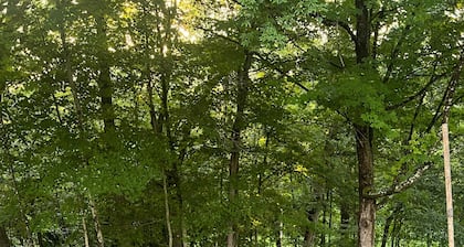 Rustic Cabin minutes from New River Gorge National Park and downtown Oak Hill.