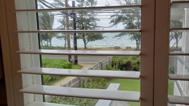 A view from a window with white blinds, overlooking a beach with palm trees, a sandy area, and a road. - Studio across the street from beach (Hauula)