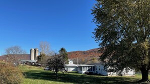 A rural landscape with a farmhouse, barns, and a large tree. - Life at the Dairy Farm (New Enterprise)