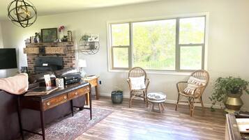 Smart TV, fireplace, books