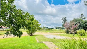 Une pelouse verdoyante et luxuriante, avec un petit arbre et un ciel dégagé.