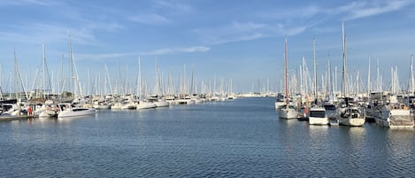 Marina