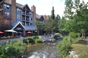 Enjoy riverside dining on the hotel's spacious terrace, surrounded by lush greenery and trees.