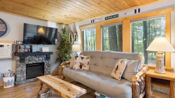 Smart TV, fireplace, books