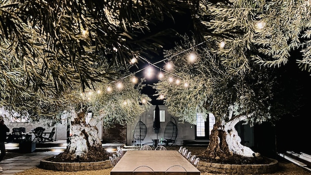 An outdoor dining area with a long table surrounded by chairs, under a tree with string lights.