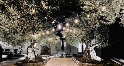 Walk to Downtown Healdsburg--Luxury Healdsburg Vacation Rental