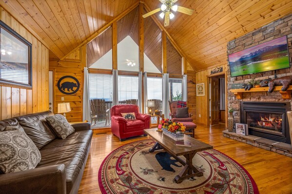 Smart-tv, eldstad och böcker