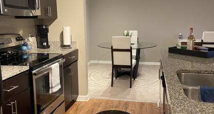 Luxury 1BR Apt Rental Unit
