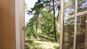 Vista a través de una puerta hacia un área boscosa con árboles y un sendero cubierto de hierba.