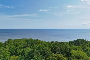 Unclassified image, 5 of 22, button