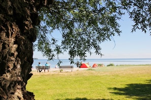Nurmikkoalue, jossa on puunrunko, penkki ja näkymä vesistöön.