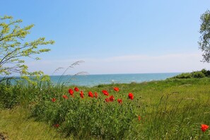 Imagen sin descripción, 2 de 20, botón