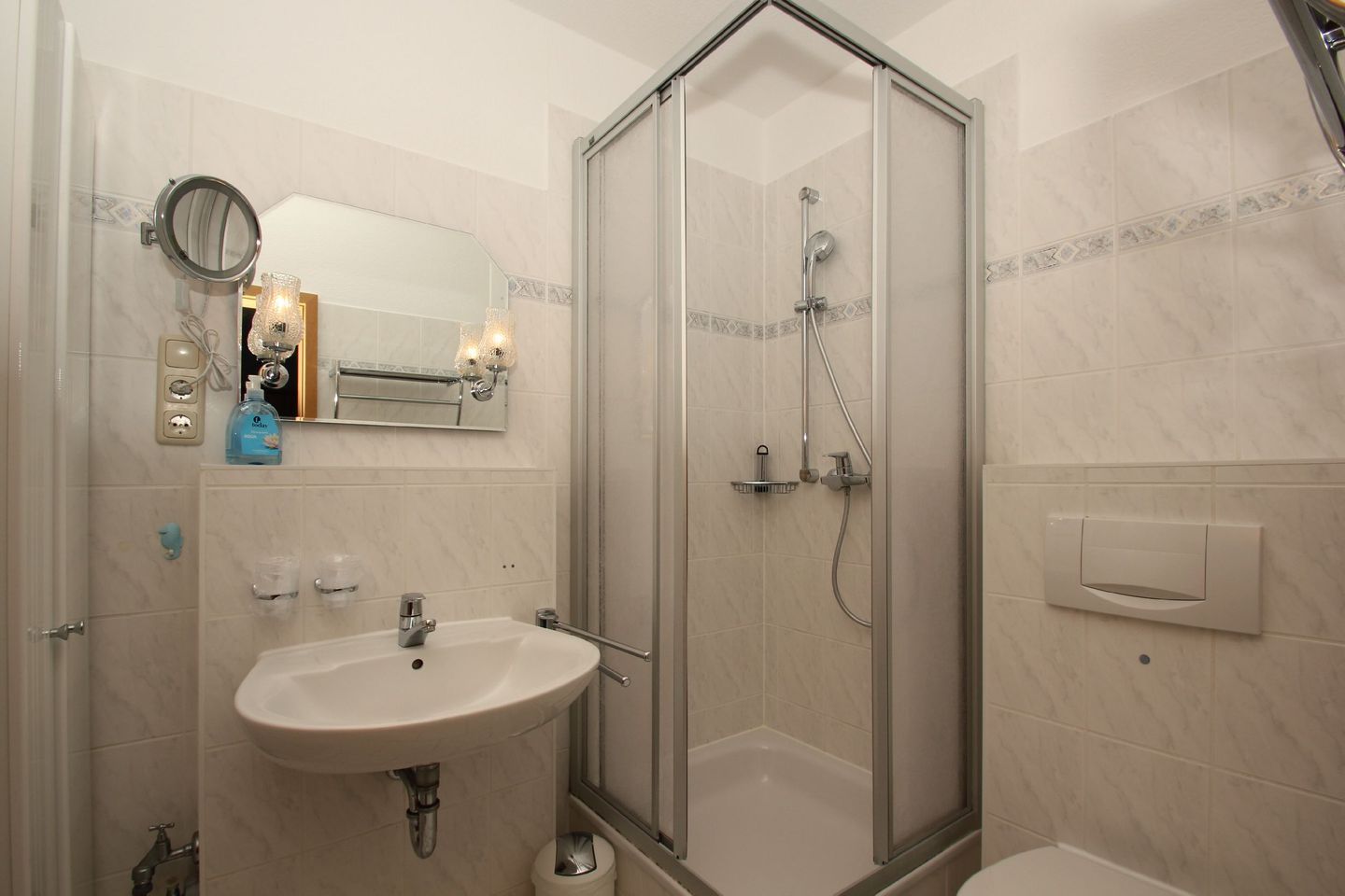 Et moderne badeværelse med en glasafskærmet brusekabine, vask med spejl og toilet.