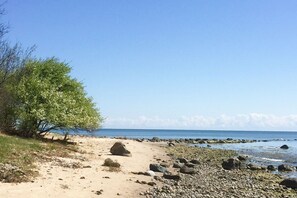 Una playa con un sendero arenoso, rocas dispersas y un árbol.