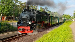 Une locomotive à vapeur portant le numéro 99 1781-6 circule sur une voie ferrée, tirant des wagons verts, le tout étant entouré de verdure et sous un ciel dégagé.