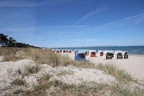 A beach with row of beach huts and a sandy area with grass in the foreground. - Right on the beach promenade, balcony with a view of the sea - Aparthotel Ostsee FeWo 15 (Binz)