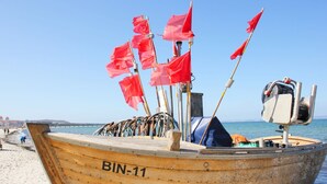 En träbåt med identifieringsnummer BIN-11 låg förtöjd vid en strand där det viftade med röda flaggor, och den hade en motor på däck.