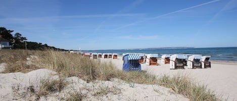 Une plage bordée de cabanes de plage et une zone sablonneuse avec de l’herbe au premier plan.