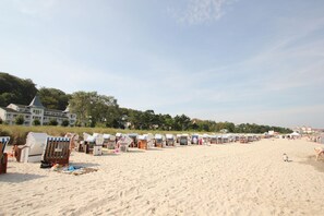 A beach with rows of beach chairs and umbrellas, a sandy beach, and buildings in the background.