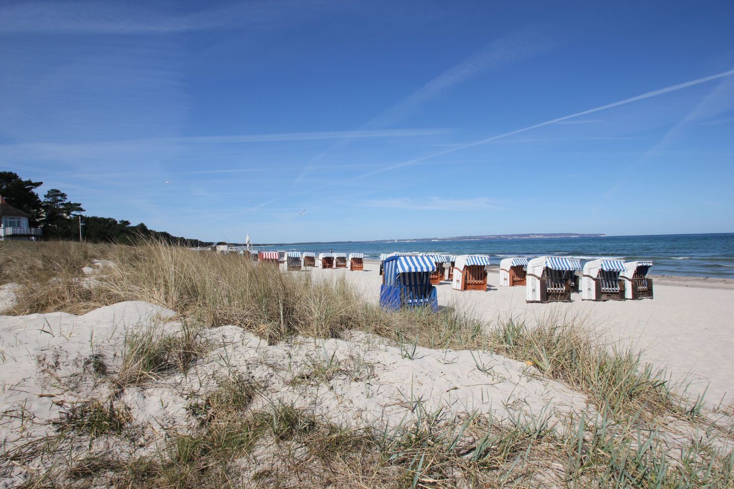 A beach with row of beach huts and a sandy area with grass in the foreground.