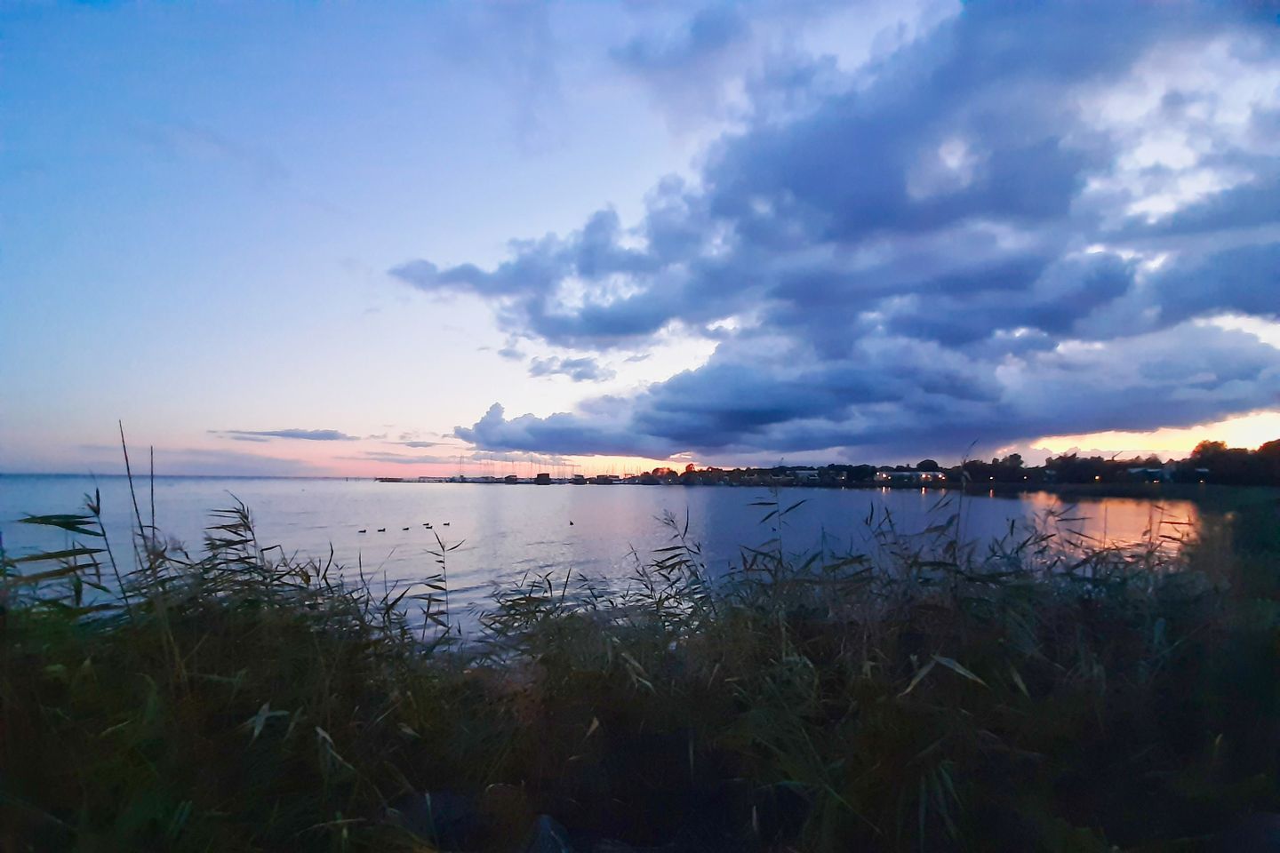 Ein ruhiger See mit einer entfernten Uferlinie, umgeben von hohem Gras im Vordergrund.