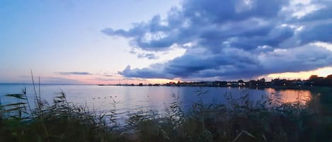 A calm lake with a distant shoreline, surrounded by tall grasses in the foreground.