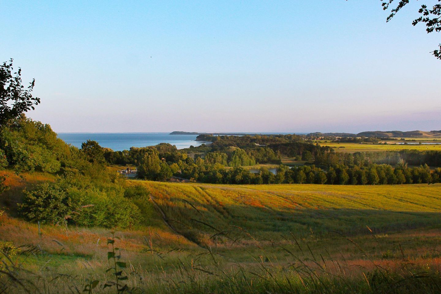 A coastal landscape with a view of the sea, rolling hills, and a distant shoreline.