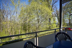 A balcony with a metal railing overlooking a forested area with trees and a red car in the background.