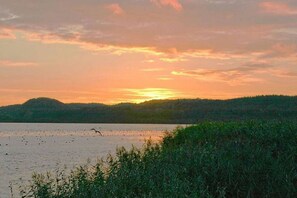 Unclassified image, 5 of 24, button