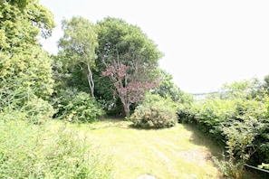 Een natuurlijk landschap met diverse bomen en struiken, een gazen pad en een waterlichaam in de verte.