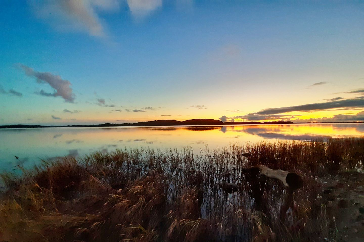 A calm lake with a sunset reflection, surrounded by tall grasses.