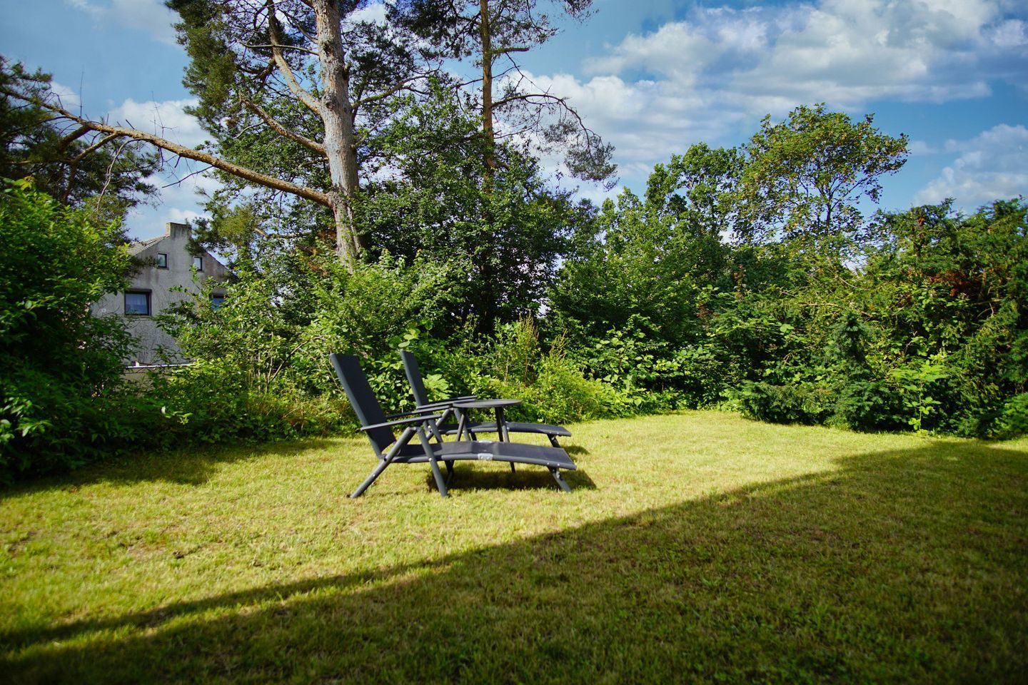 A grassy outdoor area with a picnic table and chairs, surrounded by dense foliage and trees.