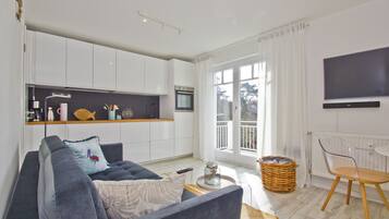 Fernseher, Stereoanlage