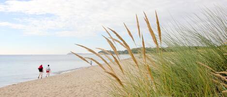 A beach with sand and grass, two people walking, and a clear sky.