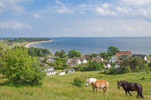 Immagine non classificata, 5 di 27, pulsante