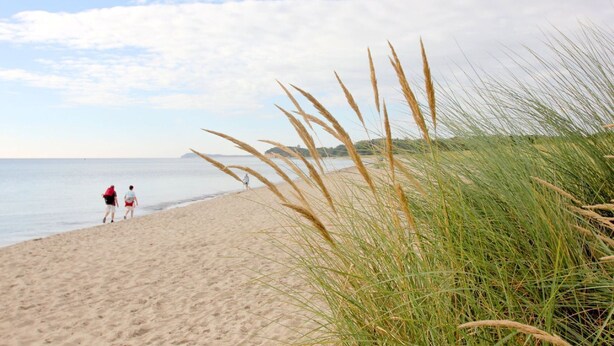 En strand med sand og græs, to personer der går, og en klar himmel.