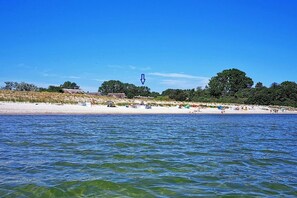 Une plage à l’eau claire, avec un rivage sablonneux et des arbres en arrière-plan.