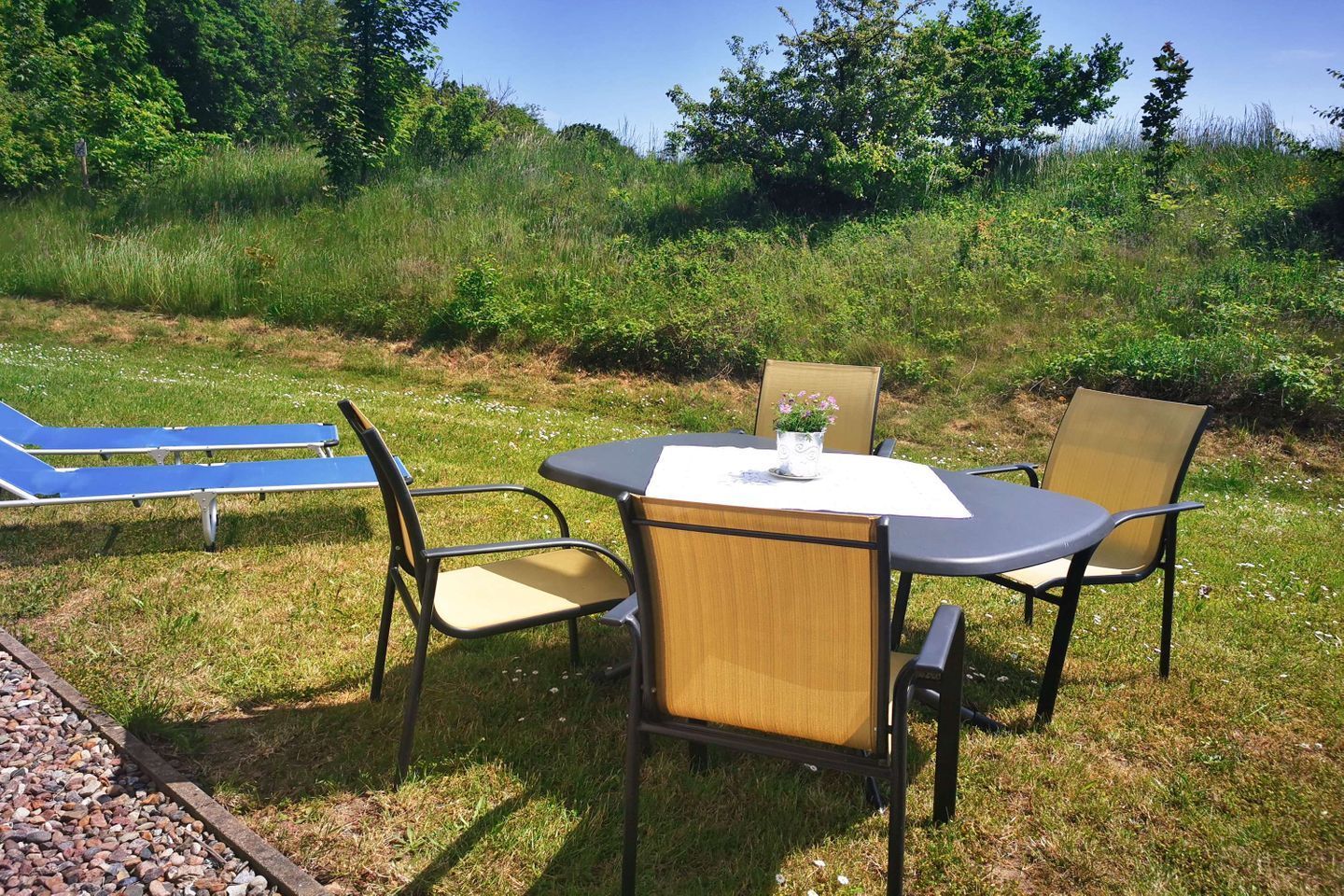 An outdoor seating area with a table and chairs, a blue lounge chair, and a grassy field with trees in the background.
