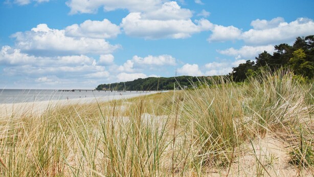 A beach with sand dunes and a pier extending into the water. - Modern vacation apartment with private sauna and balcony - Villa Pauline FeWo 04 - (Göhren)