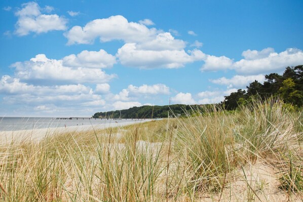 Ein Strand mit Dünen und einem Steg, der sich ins Wasser erstreckt.