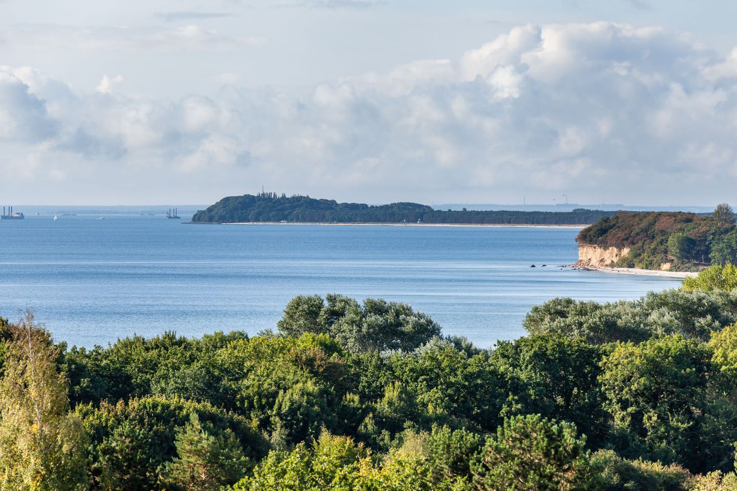 Un paysage côtier avec une zone boisée au premier plan et une plage de sable avec une falaise sur la droite.