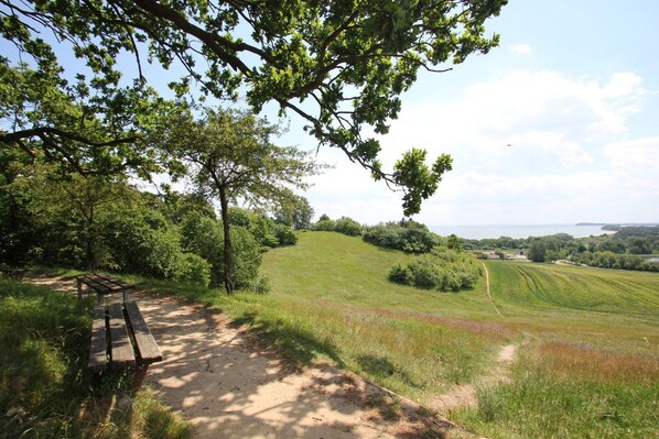 A bench overlooking a grassy field with trees and a distant view of the sea.