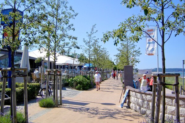 A paved walkway lined with trees and outdoor seating areas, leading towards a body of water. - With sea view and balcony, use of swimming pool and sauna - sea view apartment 16 - (Göhren)
