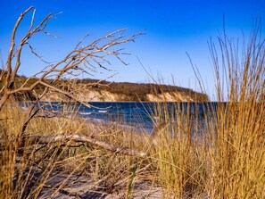 A coastal landscape with dry grass, a fallen tree, and a clear view of the sea.