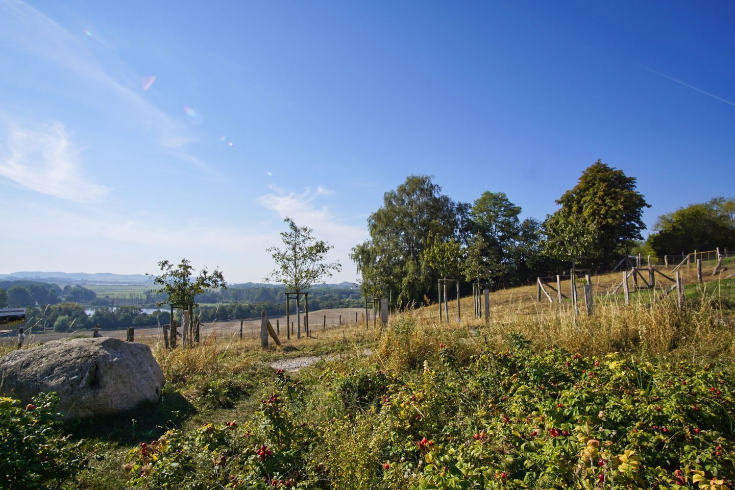 Un paysage rural avec un ciel dégagé, une zone délimitée par une clôture et quelques arbres, et un grand rocher au premier plan.